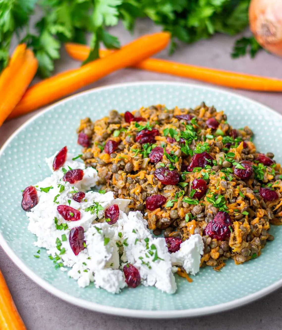A plate of lentil salad with goat cheese and cranberries, with fresh carrot beside it